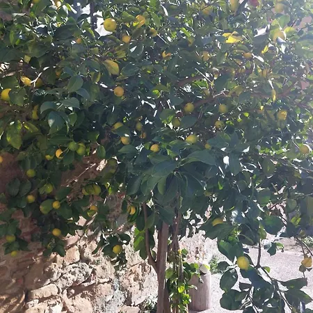 Casa Laura